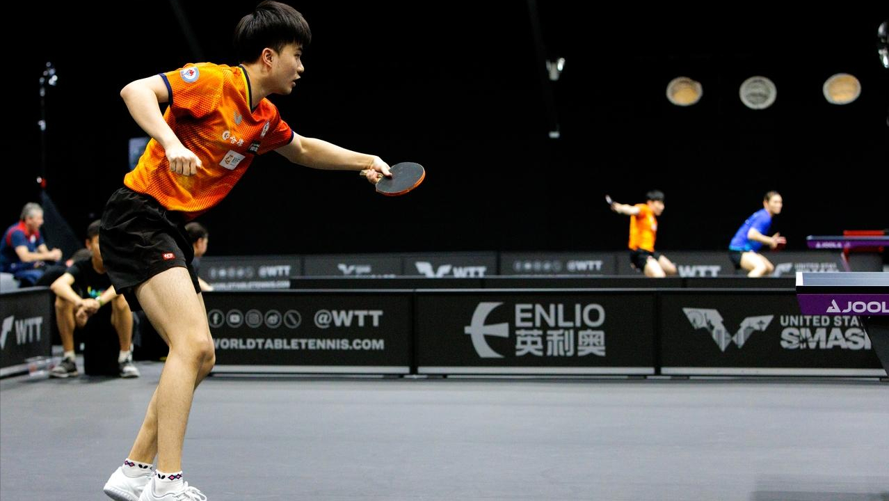 dingy, 王楚钦 dingy, 王楚钦