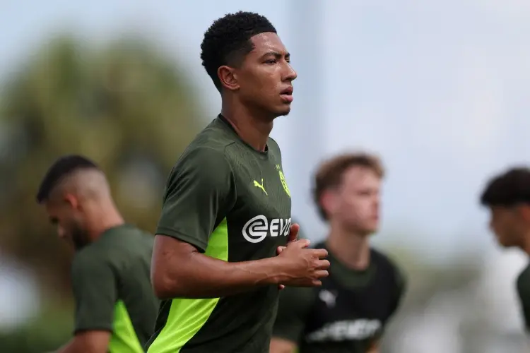 msn, 里肯 msn, 里肯