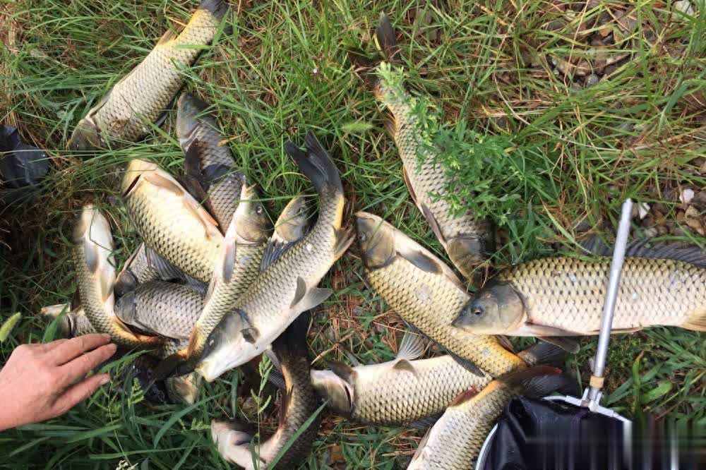 些而已, div 些而已, div