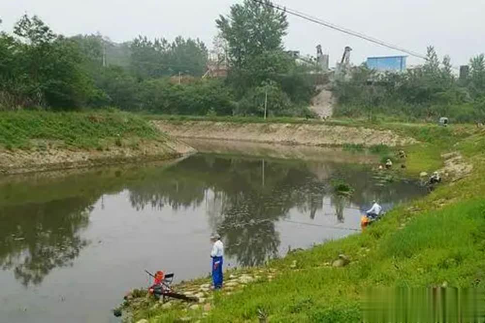 这种食物是, 真的好钓, 些地形了 这种食物是, 真的好钓, 些地形了