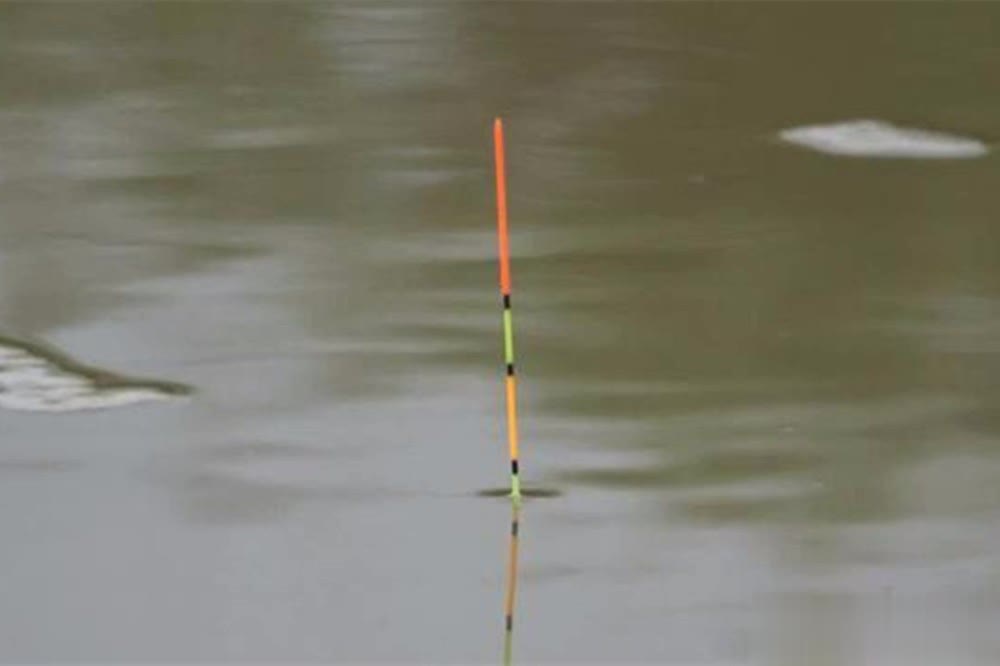 抛得准, 但是钓大鱼, 醒下 抛得准, 但是钓大鱼, 醒下